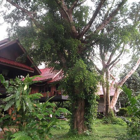 Bamboo House Hotel Khao Sok National Park Luaran gambar