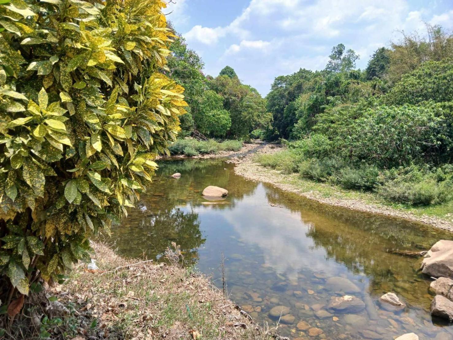 Bamboo House Hotel Khao Sok National Park Luaran gambar