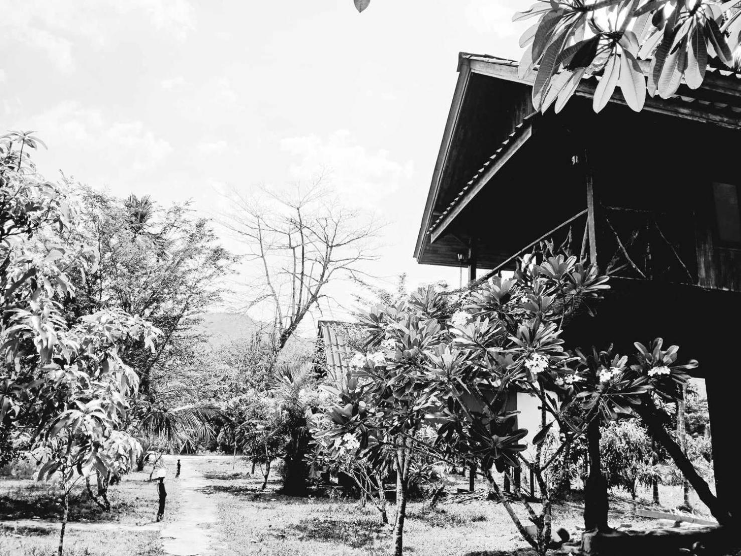 Bamboo House Hotel Khao Sok National Park Luaran gambar