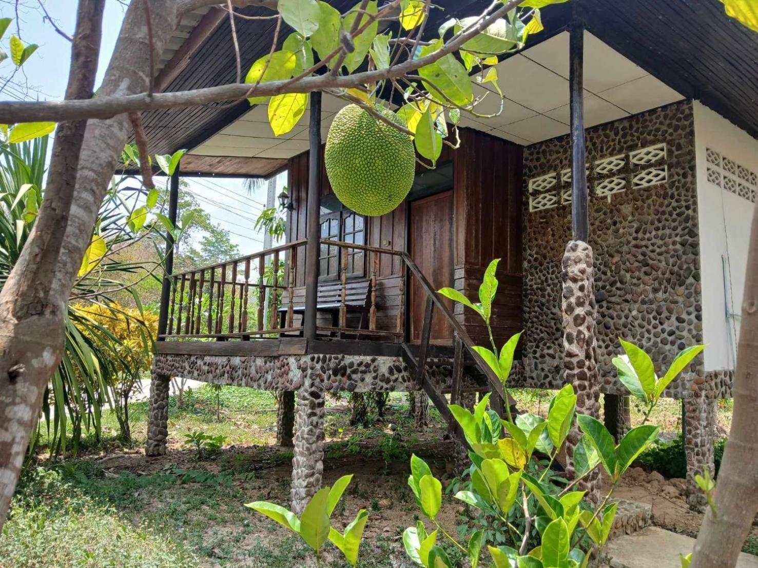 Bamboo House Hotel Khao Sok National Park Luaran gambar