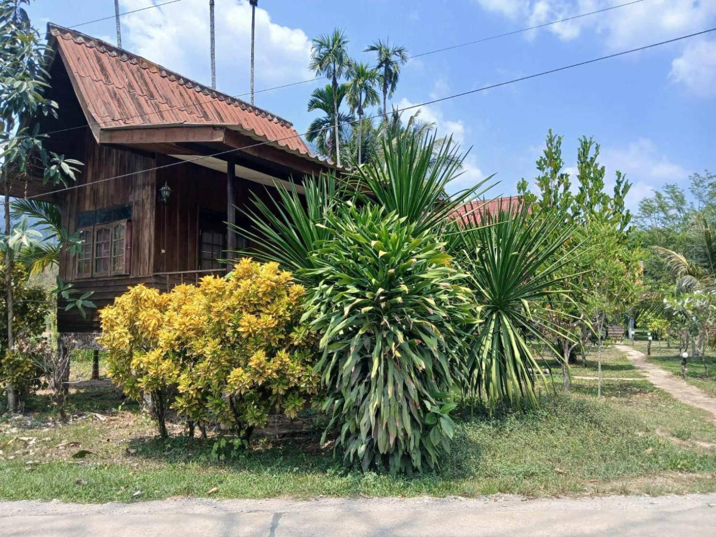 Bamboo House Hotel Khao Sok National Park Luaran gambar