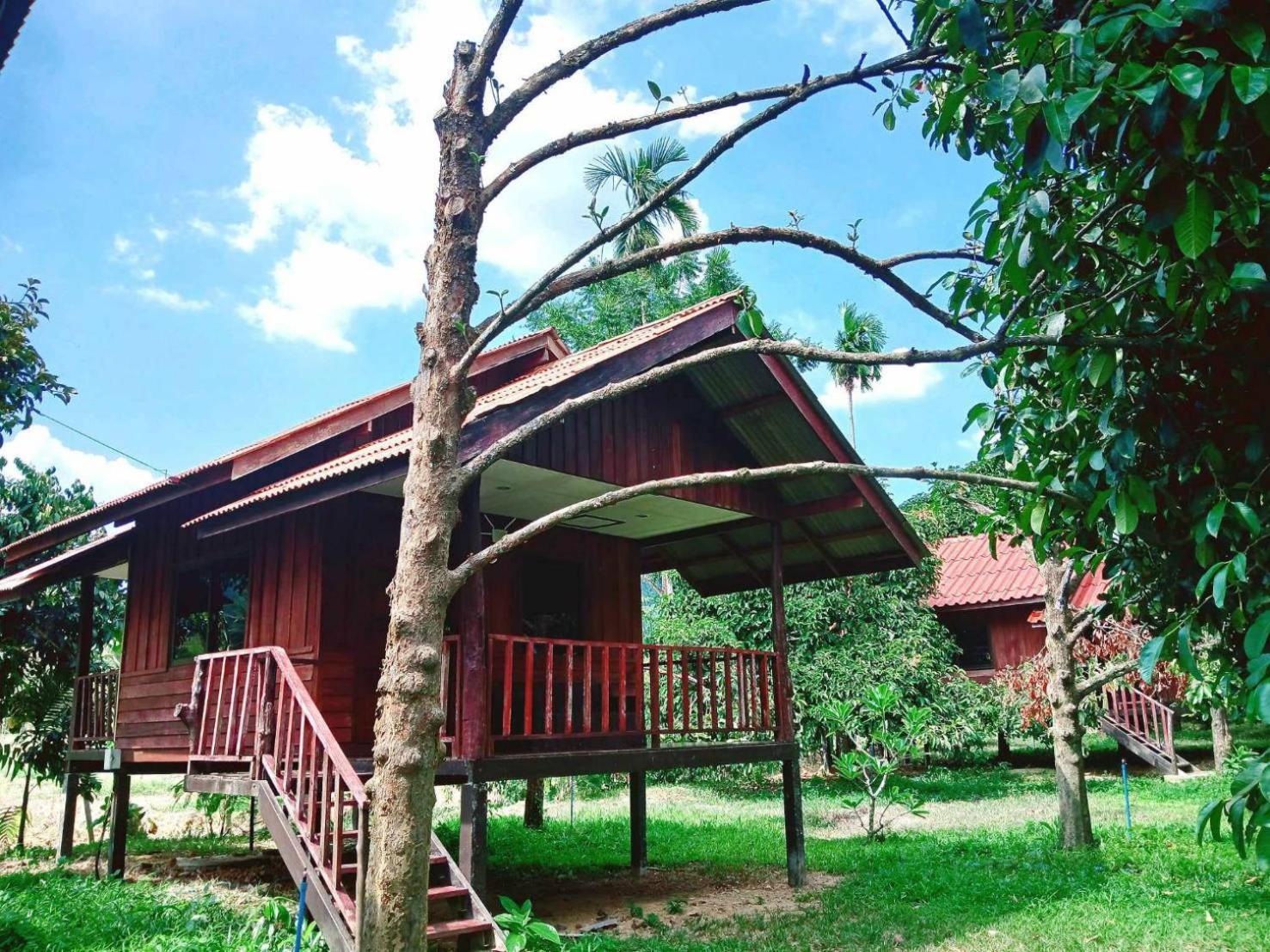 Bamboo House Hotel Khao Sok National Park Bilik gambar