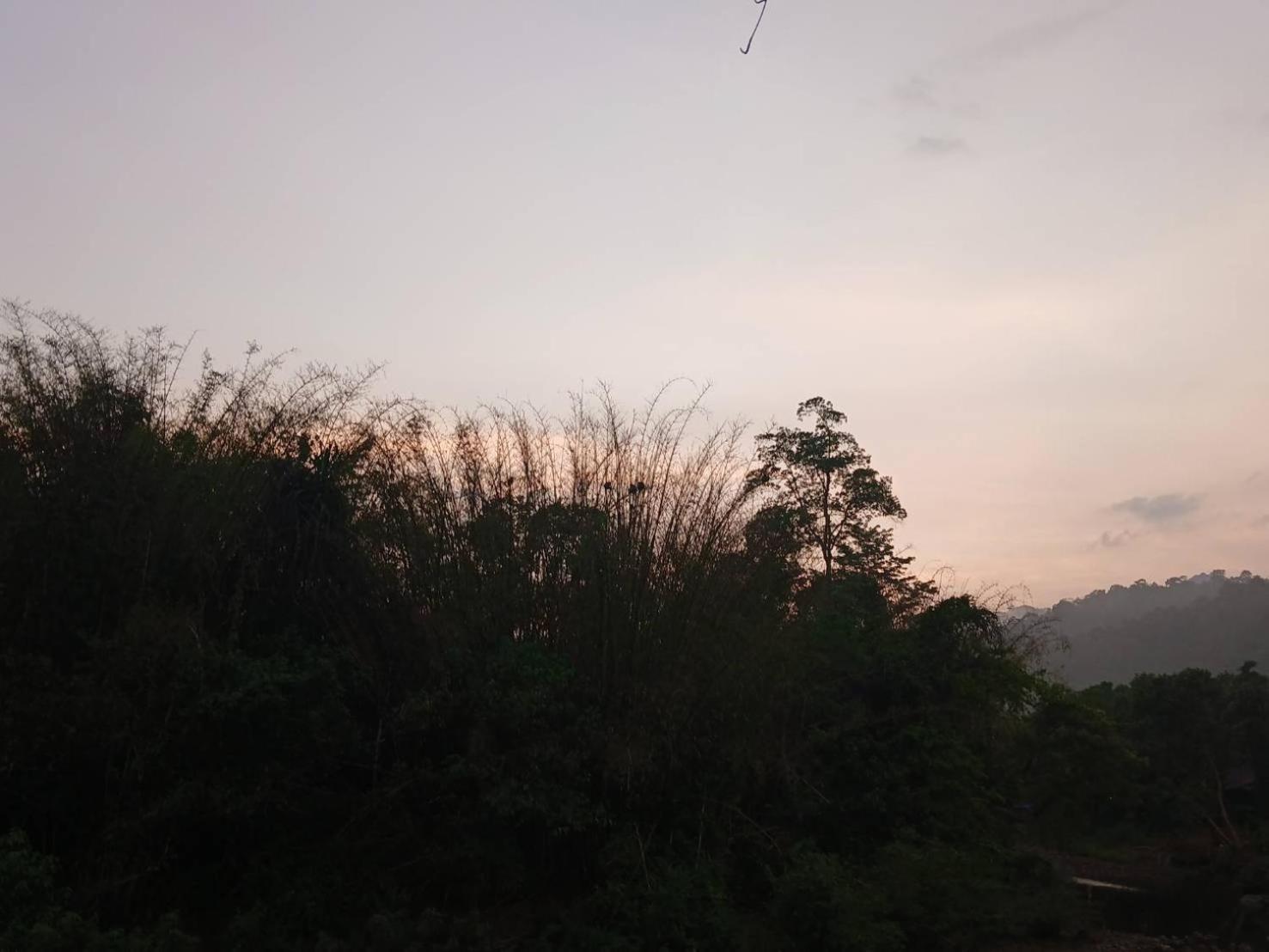 Bamboo House Hotel Khao Sok National Park Luaran gambar