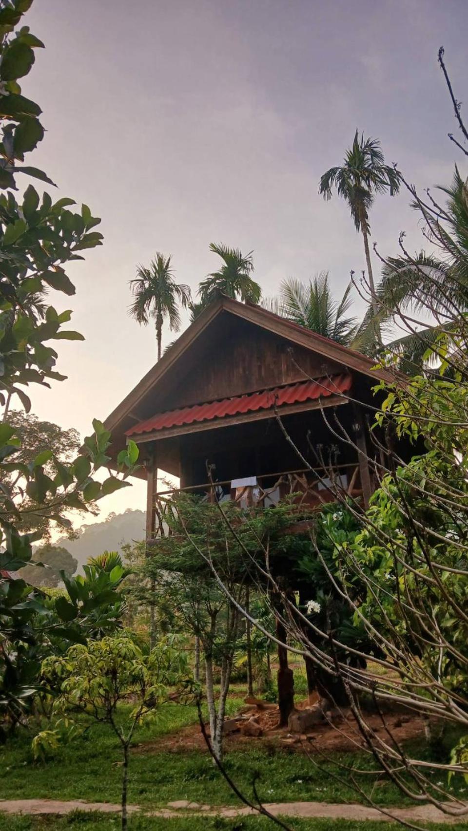 Bamboo House Hotel Khao Sok National Park Luaran gambar