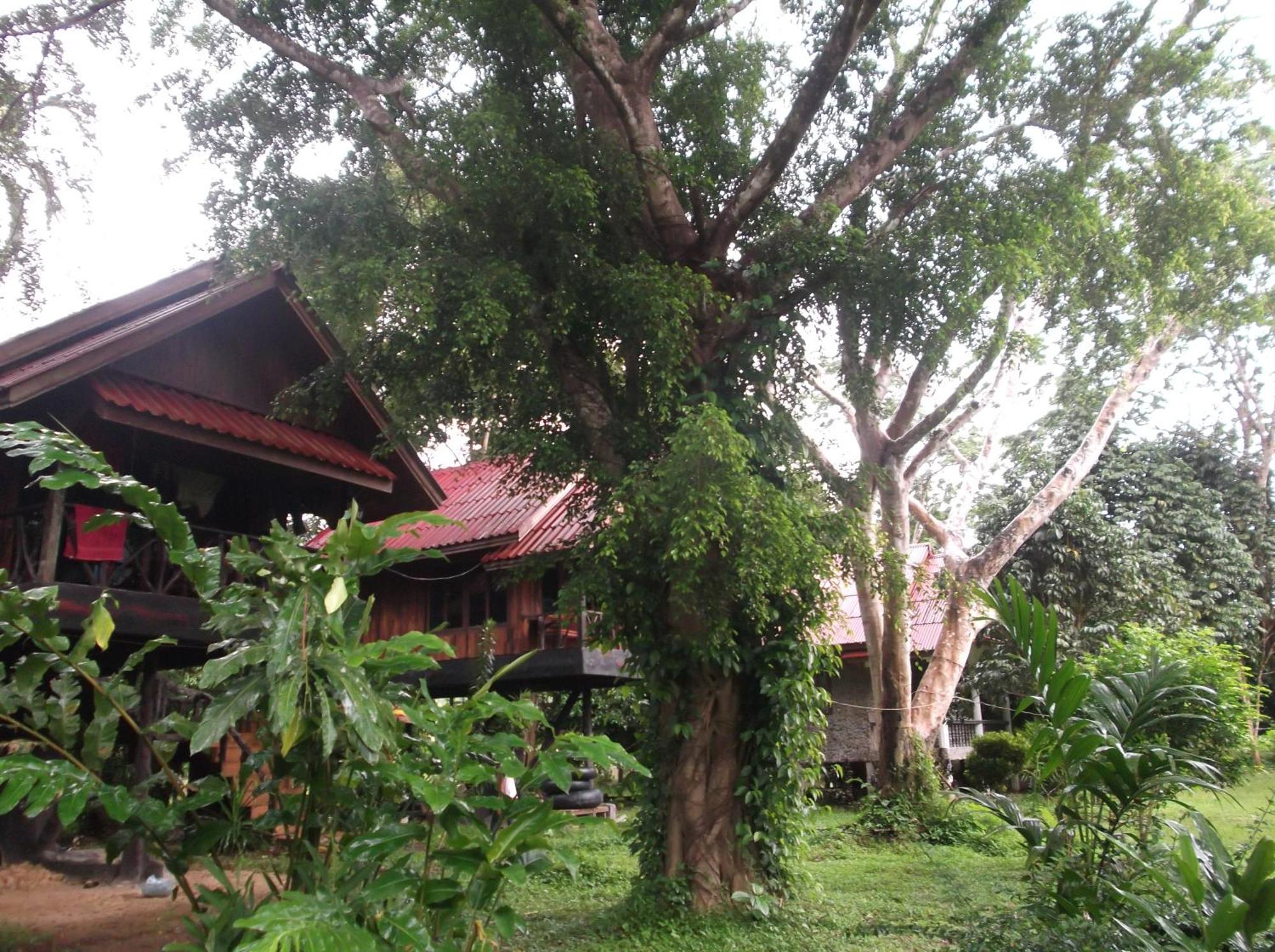 Bamboo House Hotel Khao Sok National Park Luaran gambar