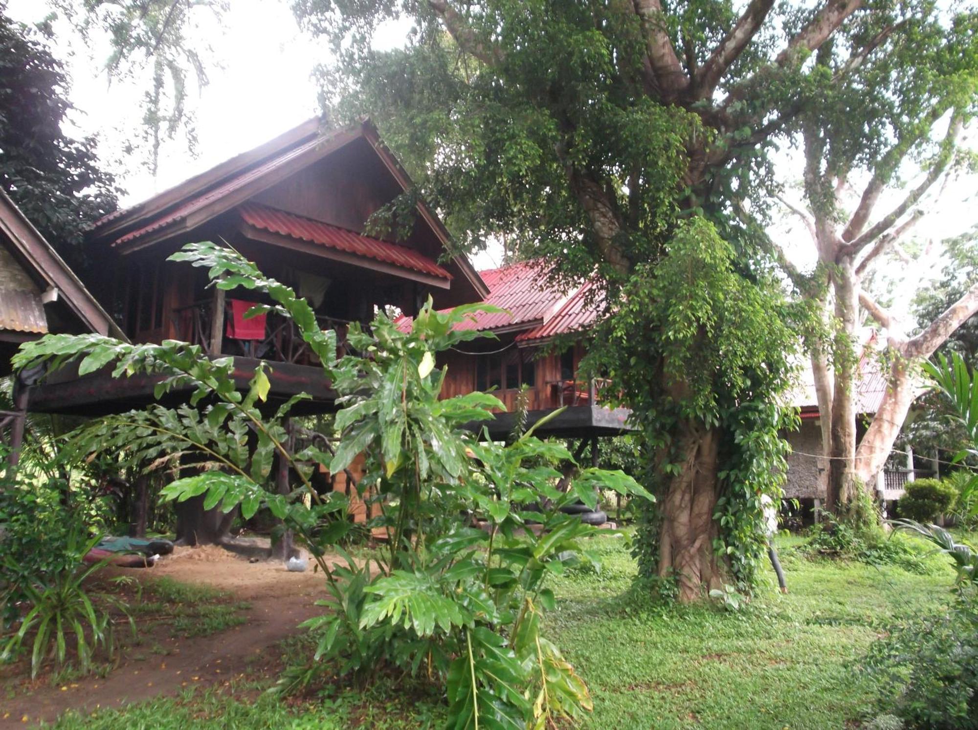 Bamboo House Hotel Khao Sok National Park Luaran gambar