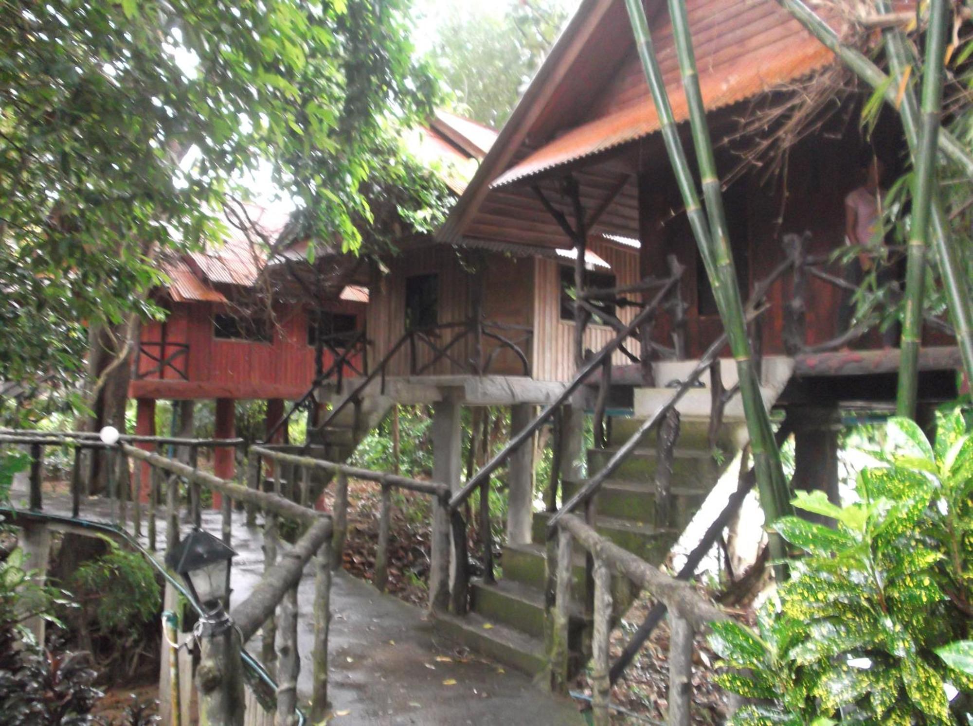 Bamboo House Hotel Khao Sok National Park Luaran gambar