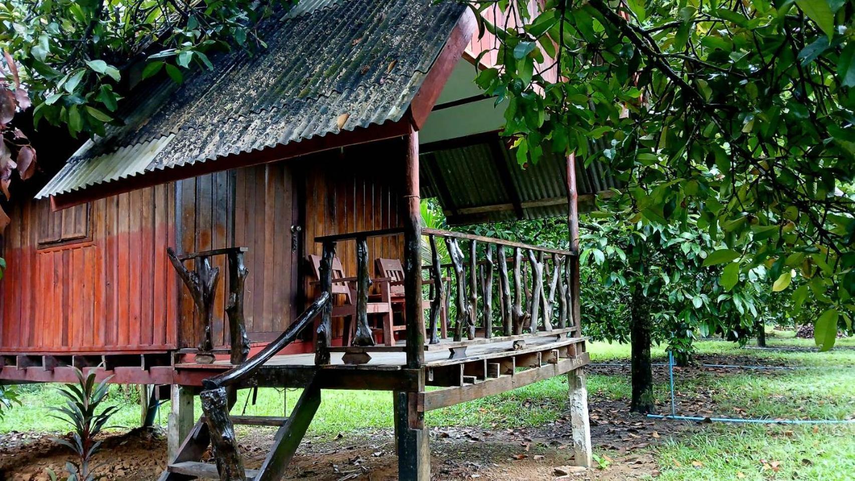 Bamboo House Hotel Khao Sok National Park Luaran gambar