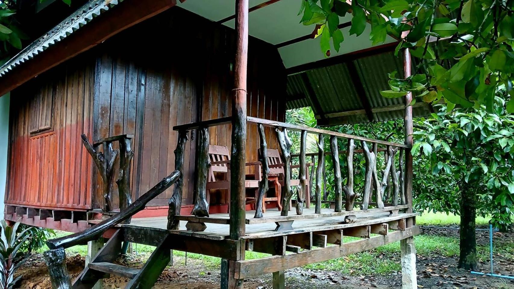 Bamboo House Hotel Khao Sok National Park Luaran gambar