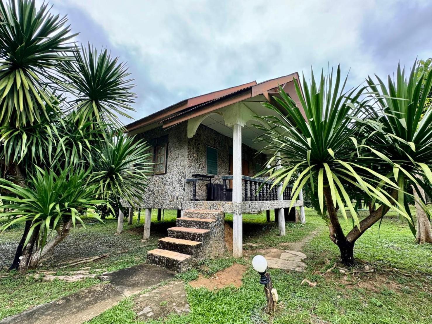 Bamboo House Hotel Khao Sok National Park Luaran gambar